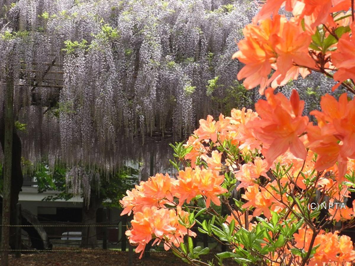 Le Grand Kyu Karuizawa Hotel Luaran gambar